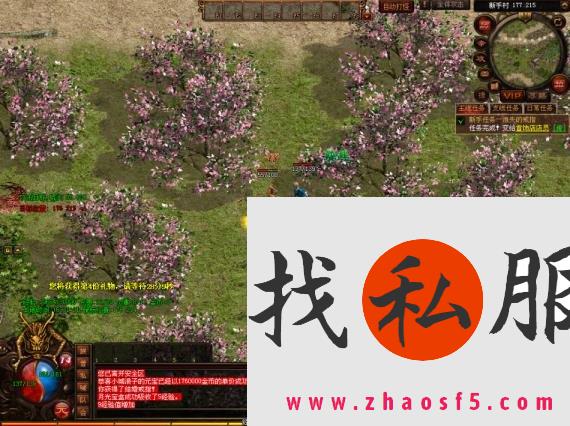 段位挑战的策略与技巧