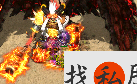 光明天使闪耀登场，宠物大赛更精彩