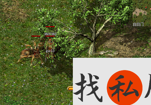 探索无尽大陆：揭开中级地图的神秘面纱