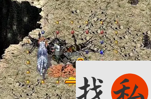 揭秘宠物与装备精炼的无限魅力