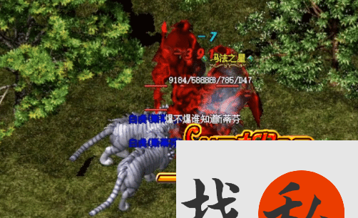 真正的宠物专家：不是驯服，是同行